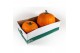 Cucurbita maxima halloween 20-40 oranje 2 (1050) 