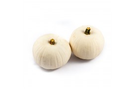 Cucurbita Snowbal / Witte Halloween 8 (1046)