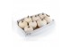 Cucurbita Snowbal / Witte Halloween 8 (1046) 