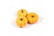 Cucurbita Spark 20 (1025) 
