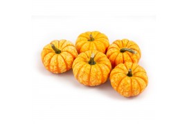 Cucurbita Spark 30 (1026)