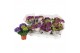 Hydrangea macr. ningbo Ningbo 3-5 Bloem 