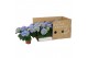 Hydrangea fabolo Blauw 3-5 bloem - Zonder Hoes 