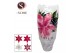 Lilium oriental mix 