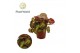 Begonia blad rex magic colours montuno Begonia rex Montuno 8,5cm 3 pp 