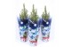Picea glauca conica in blauwe hoes 