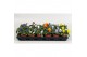 Viola cornuta mix mix in tray x18 