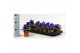 Viola wittrockiana delta f1 blue with blotch 