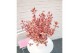 Hydrangea serrata euphoria pink 
