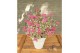 Hydrangea serrata euphoria pink 