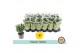 Chrysanthemum ind. tapas time Classic yellow 