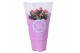 Rosa favourite roze roze + morelips 