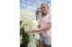 Hydrangea arborescens incrediball Strong Annabelle®  *Volle CC* 