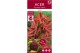 Acer palmatum shaina 