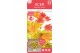 Acer shirasawanum moonrise extra kwaliteit 