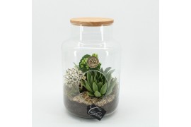 Arrangementen kamerplanten ESCR-2505W Essentials terrarium 2 pp
