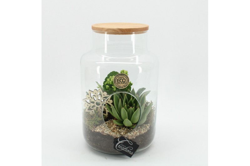 Arrangementen kamerplanten ESCR-2505W Essentials terrarium 2 pp 