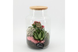 Arrangementen kamerplanten ESCR-2505RZ Essentials terrarium 2 pp