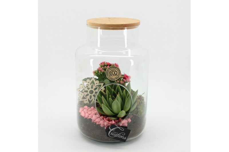 Arrangementen kamerplanten ESCR-2505RZ Essentials terrarium 2 pp 