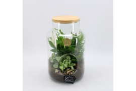 Arrangementen kamerplanten GRCR-2546 Green Essentials Terrarium 3 pp