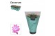 Schlumbergera paars 4x2 dark, decorum 