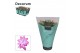 Schlumbergera paars 4x2 dark, decorum 
