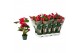 Anthurium andr. nevada 5 bloem 