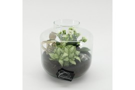 Arrangementen kamerplanten ESCR-2532W Essentials terrarium 2 pp