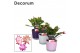 Schlumbergera mix decorum in nashville glaspot mix 