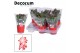 Schlumbergera zaraika Glaspot Nashville red - Decorum 