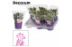 Schlumbergera dark eva decorum in nashville glaspot purple 