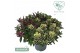 Hebe addenda mix Hebe Addenda Donna® - Trio 