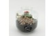 Arrangementen kamerplanten ESCR-2532RZ Essentials terrarium 2 pp 