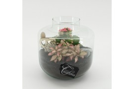 Arrangementen kamerplanten ESCR-2532RZ Essentials terrarium 2 pp