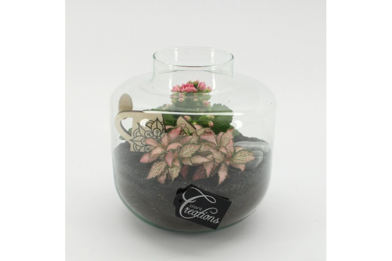 Arrangementen kamerplanten ESCR-2532RZ Essentials terrarium 2 pp 
