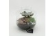 Arrangementen kamerplanten GRCR-2549 Green Essentials terrarium 3 pp 