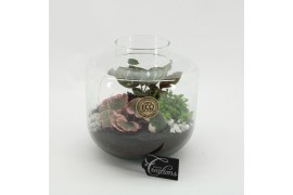 Arrangementen kamerplanten GRCR-2549 Green Essentials terrarium 3 pp