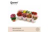 Kalanchoe grandiva mix Kalanchoe Mix P12 Queen 1 pp 13 cm diameter 25 