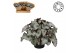 Begonia blad rex hawaiian silver Must Have 