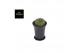 Cactus Gymno Spineless Worm XL 