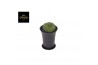 Cactus Gymno Spineless Worm XL