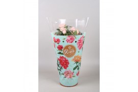 Rosa favourite roze licht roze + seizoenshoes