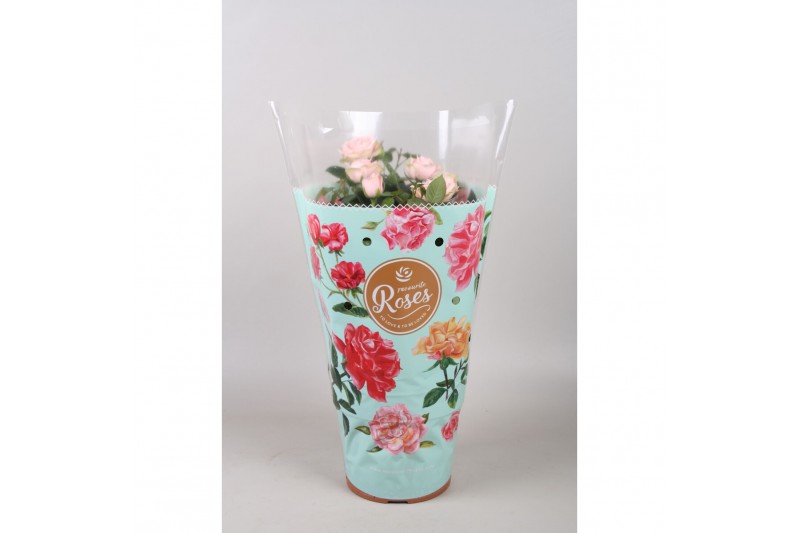 Rosa favourite roze licht roze + seizoenshoes 