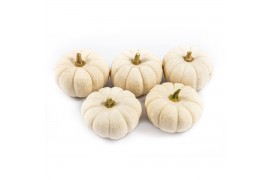 Cucurbita pepo baby boo 30 (1020)