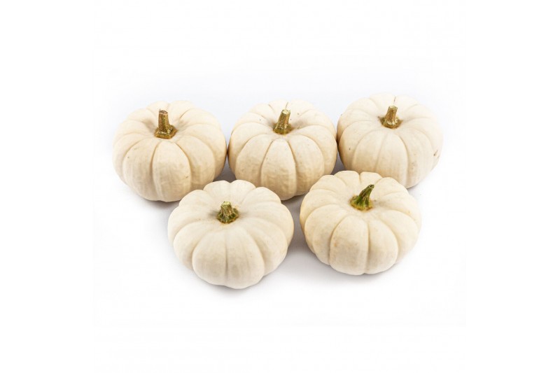 Cucurbita pepo baby boo 30 (1020) 