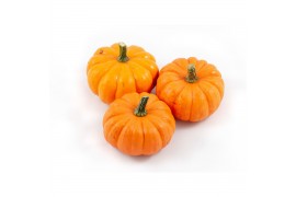 Cucurbita pepo jack be little 20 (1022)