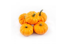 Cucurbita pepo jack be little 30 (1023)