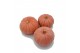Cucurbita pepo Miss sophie pink 8 (1057) 