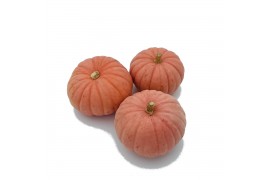 Cucurbita pepo Miss sophie pink 8 (1057)