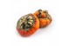 Cucurbita turks turban mix 6 (1036) 